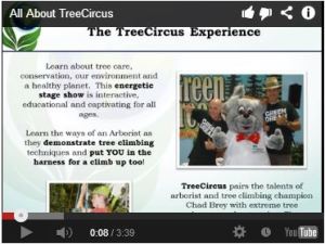 treecircus youtube thumbnail